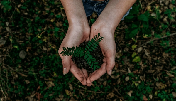 réutiliser les emballages pour un meilleur environnement