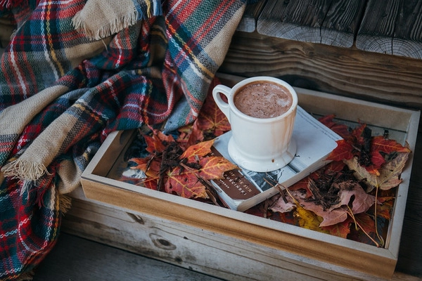 7 raisons pour lesquelles le chocolat chaud est le meilleur choix pour les jours froids