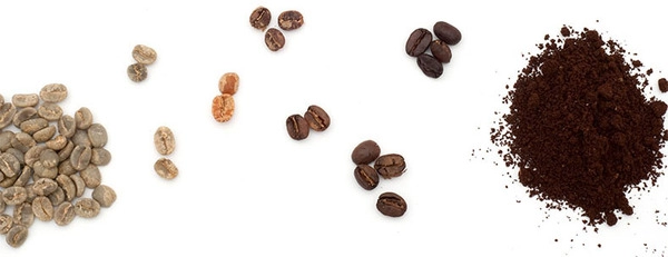 la longue évolution du chocolat