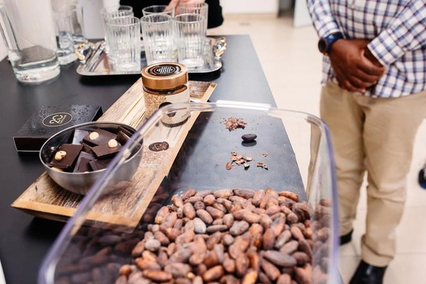 20 chocolat - le chocolat qui vous ravira à la première bouchée