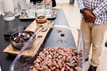 20 chocolat - le chocolat qui vous ravira à la première bouchée