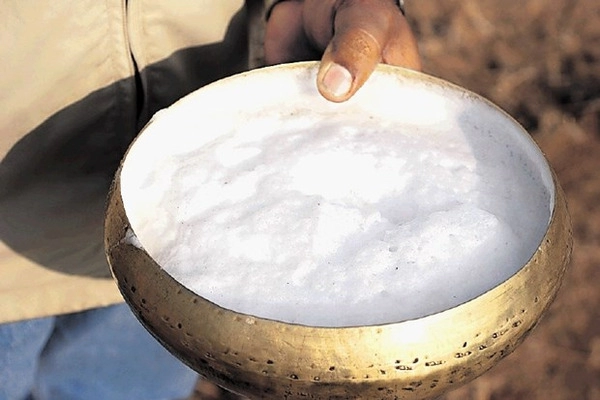 chocolat au lait de chamelle