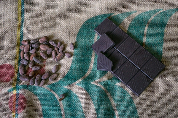 vidÉo : chocolats biologiques rawr