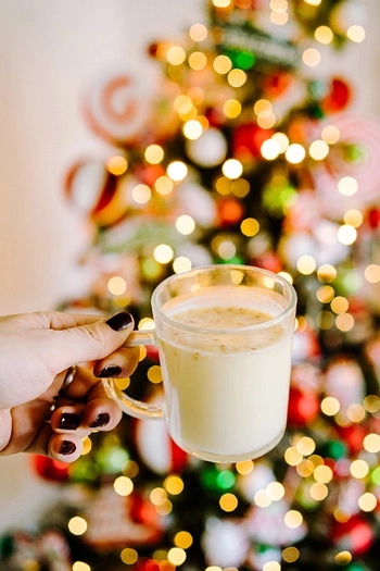 Chocolat chaud blanc aux noisettes 1500 g