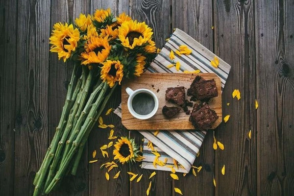 brownies au chocolat